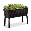 Lillepott Easy Grow Rattan Waves pruun KETER 29194592590 114x49x76cm