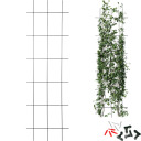 Augalų atrama - Sodo grotelės 150 x 45 cm BIOOGROD 721421, plienas, juoda