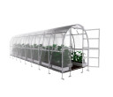 Siltumnīca KLASIKA SLIM 2x8m (16m2) ar 4mm polikarbonāta KLASIKA GREENHOUSE