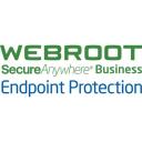 Webroot Biznesa punktu aizsardzība ar GSM konsoli 112260012B, 2 gadi, 10-99 lietotāji, abonē&scaron;anas licence