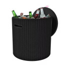 Aialaud/hoiukast Cool Stool pruun KETER 29200045590 44x44x44cm