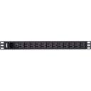 Aten Toitejaotusseade, PE0212G-AT-G, 12 x IEC C13, 1U, 100-240 V, 16 A, 3840 VA, must