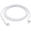 Apple USB-C Lightning kaabel MUQ93ZM/A, 1 m, USB-C isane, Lightning isane, valge