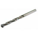 Proline Puuri 5731067, 6 mm, 10 cm, Betoon, 1 tk.