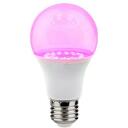 Visional LED Fito lemputė E27 24W, AC 220-240V, 4000K, 270&deg; spindulio kampas