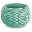 Prosperplast Gėlių vazonas Splofy Bowl 7268347, &Oslash; 24 cm, auk&scaron;tis 16 cm, ovali forma, žalia spalva, patalpų augalai