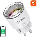 Gosund nutikas pistik EP2, 220-240V, 10A, 2500W, Wi-Fi 2.4GHz, &uuml;hilduv Amazon Alexa ja Google Assistantiga