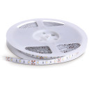 LED juostelė PREM 7.2W/m/6000K 5m 740lm/m IP20 KB2835ZBPREM KOBI