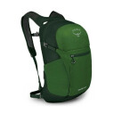 Рюкзак Daylite Plus, Osprey, 0843820185485, 20 литров, 540 грамм, цвет: GREEN_BELT_GREEN_CONOPY
