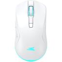 Baracuda Pele TURTLE-W BGM-122, 3200 DPI, 6 pogas, 95 g, bezvadu, RF 2.4 GHz, apgaismojums