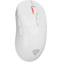 Genesis Zircon XIII Custom pele, NMG-2090, 26000 dpi, 7 pogas, optiskā, bezvadu, 2.4 GHz, USB