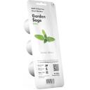Click & Grow Nutikas aia seemned SGR7X3, 40 g, 3 tk, salvei, s&ouml;&ouml;dav taim, idandab 1-2 n&auml;dalat