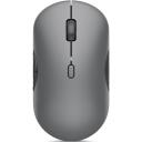 Lenovo 700 Multi-Device Wireless Silent Mouse GY51S61898, 4000 dpi, 2.4G, Bluetooth 5.3, 8 nuppu, vaikne hiir