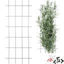 Plant Support - Garden Trellis 150 x 60 cm BIOOGROD 721422