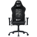 Gaming chair with 2D adjustable armrests 90&deg;&ndash;180&deg; adjustable backrest head and lumbar pillows Class-4 gas lift up to 150 kg Shift MCCH01 Black CNS-MCCH01 CANYON