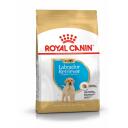 Royal Canin Kuivtoit Koertele 114240, 12 kg, kana, immuuns&uuml;steemi tugi, seedimise tervis