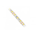 LED lente FLASH 5050, 300 LED, 6500K, IP65, 5m, LD-5050-300-65-ZB, GTV