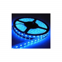 LED valgusriba 60 tk./m EKPL759 EKO-LIGHT