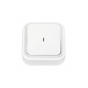 Jungiklis PRALESKA v / a, 1 mygtukas, su &scaron;viesos indikatoriumi BYLECTRICA