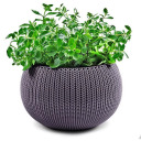 Riputatav lillepott Cozy M riputuskomplektiga lilla KETER 29202379610 36x36x22,5 cm